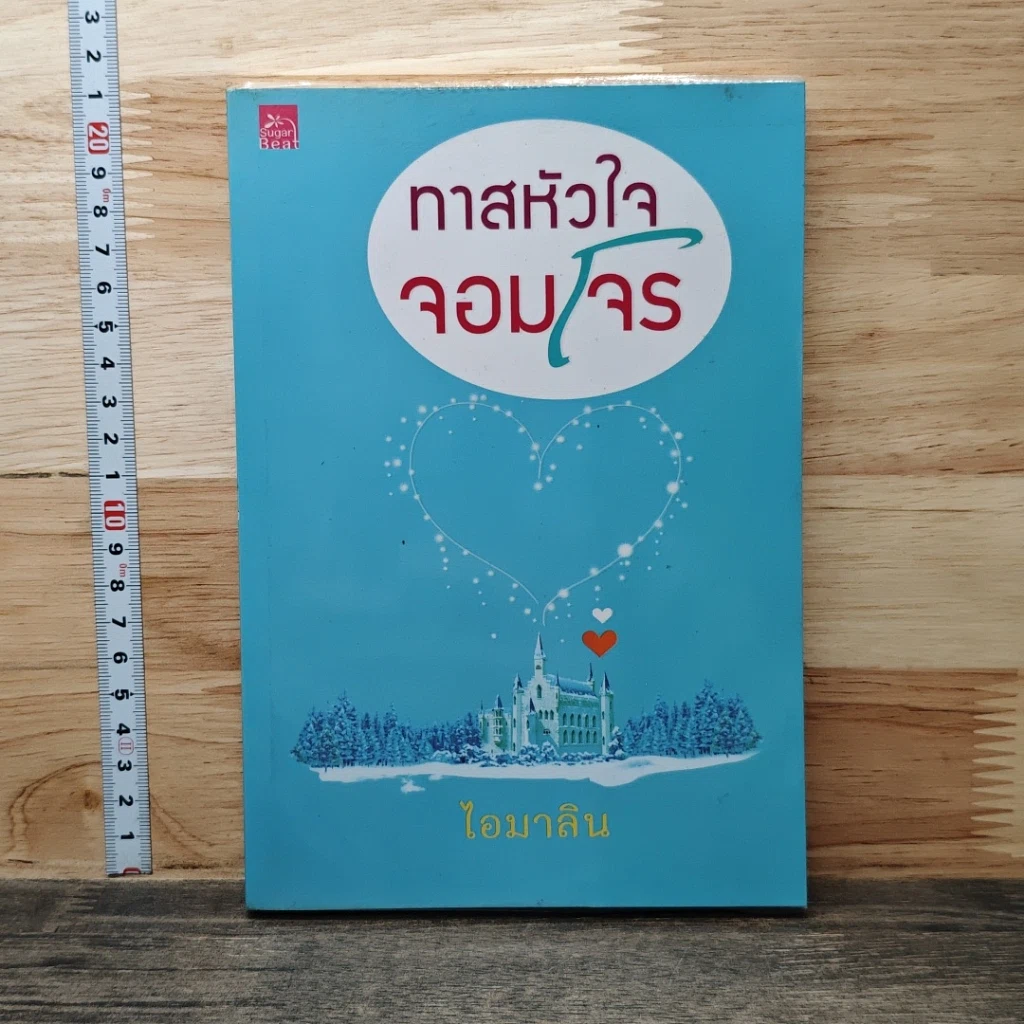 หนังสือ ทาสหัวใจจอมโจร รูปที่ 1