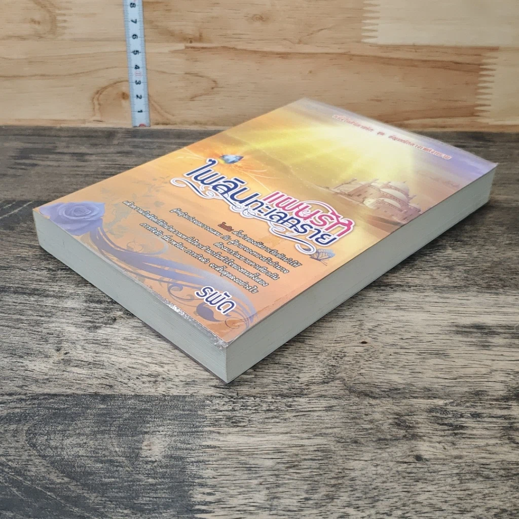 หนังสือ แผนรักไพลินทะเลทราย รูปที่ 3