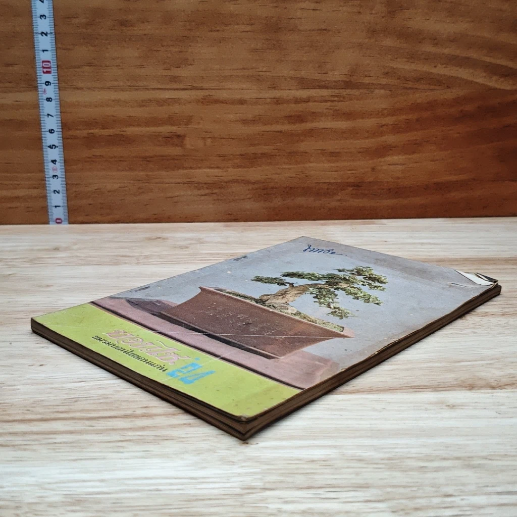 บอนไซ เล่ม 24 รูปที่ 4