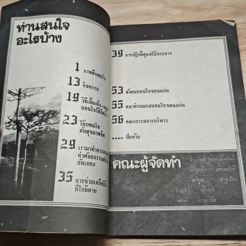 บอนไซ เล่ม 24 รูปที่ 6