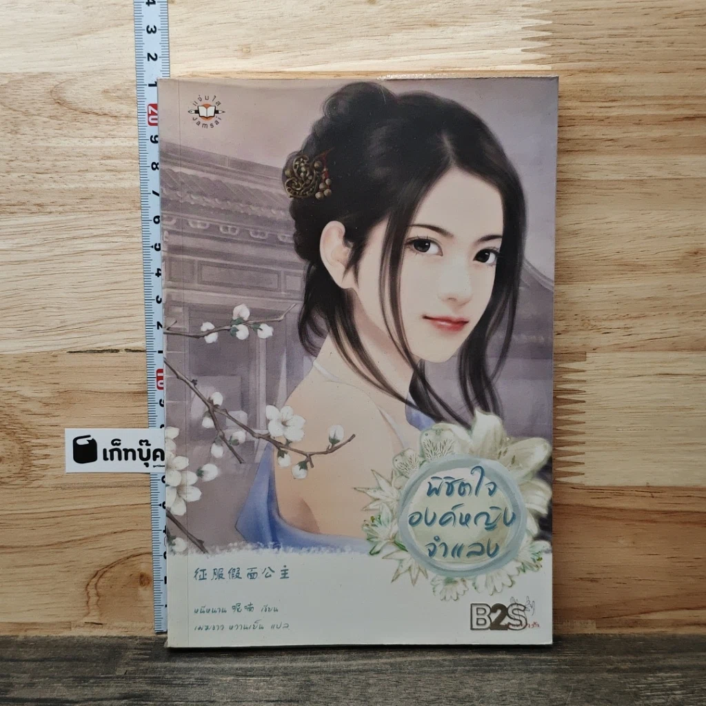 พิชิตใจองค์หญิงจำแลง รูปที่ 1