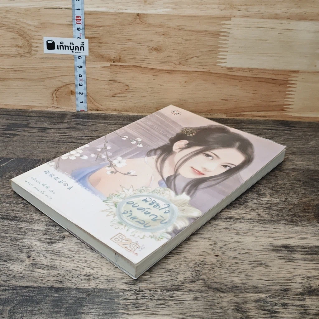 พิชิตใจองค์หญิงจำแลง รูปที่ 3