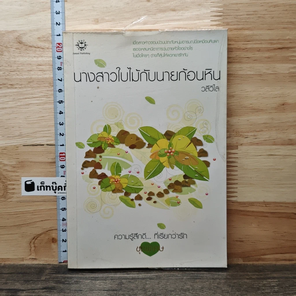 หนังสือ นางสาวใบไม้กับนายก้อนหิน รูปที่ 1