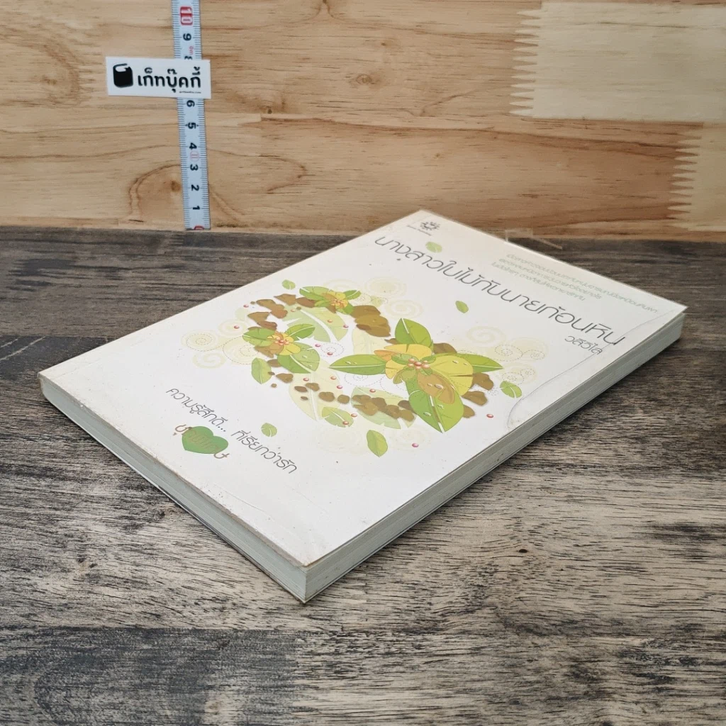 หนังสือ นางสาวใบไม้กับนายก้อนหิน รูปที่ 3