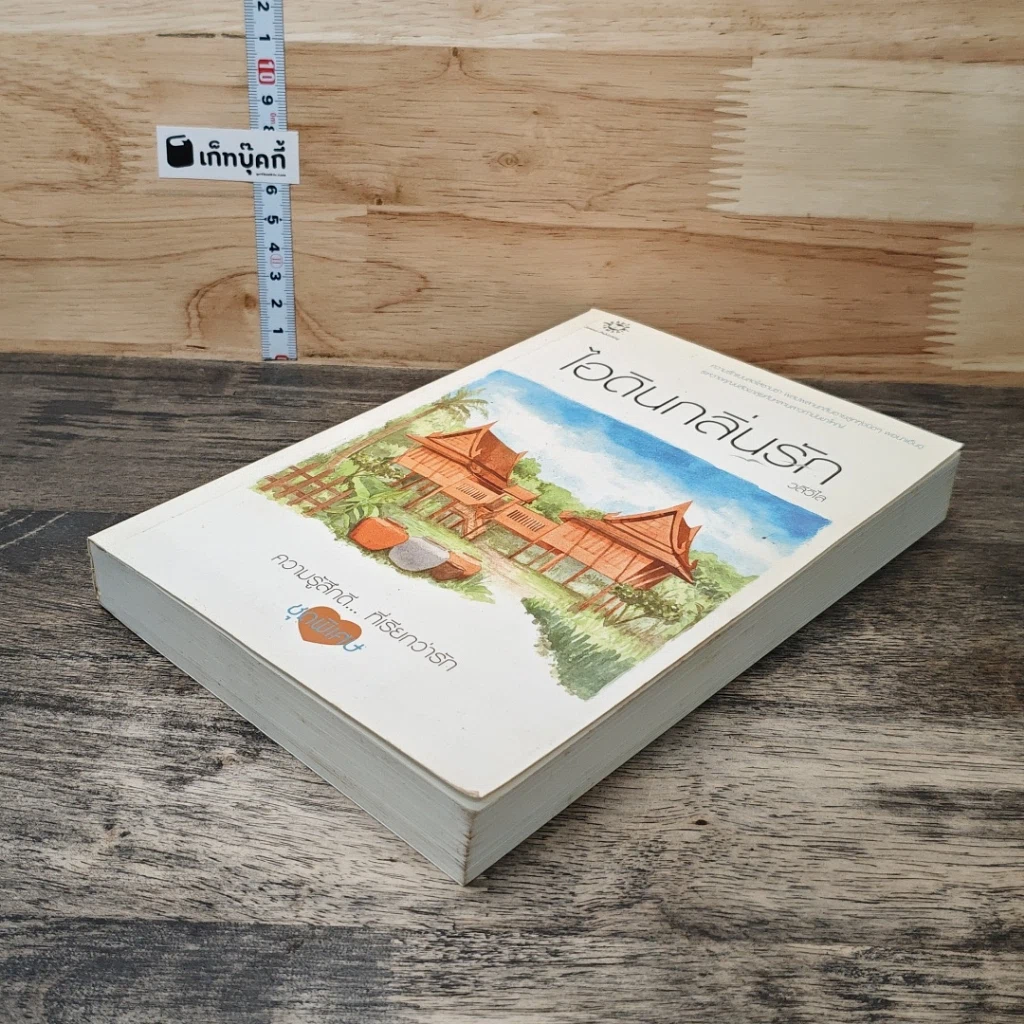 หนังสือ ไอดินกลิ่นรัก รูปที่ 3