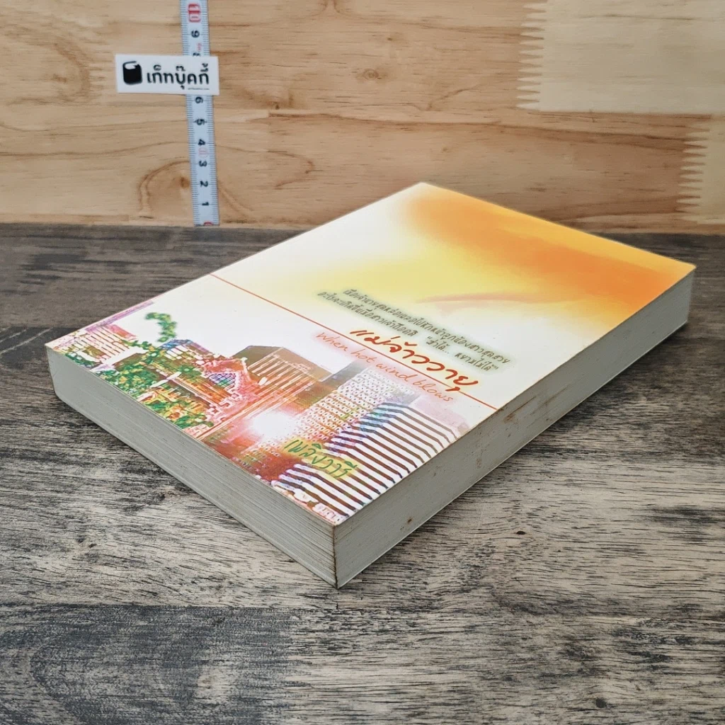 หนังสือ แม่จ้าววายุ รูปที่ 3