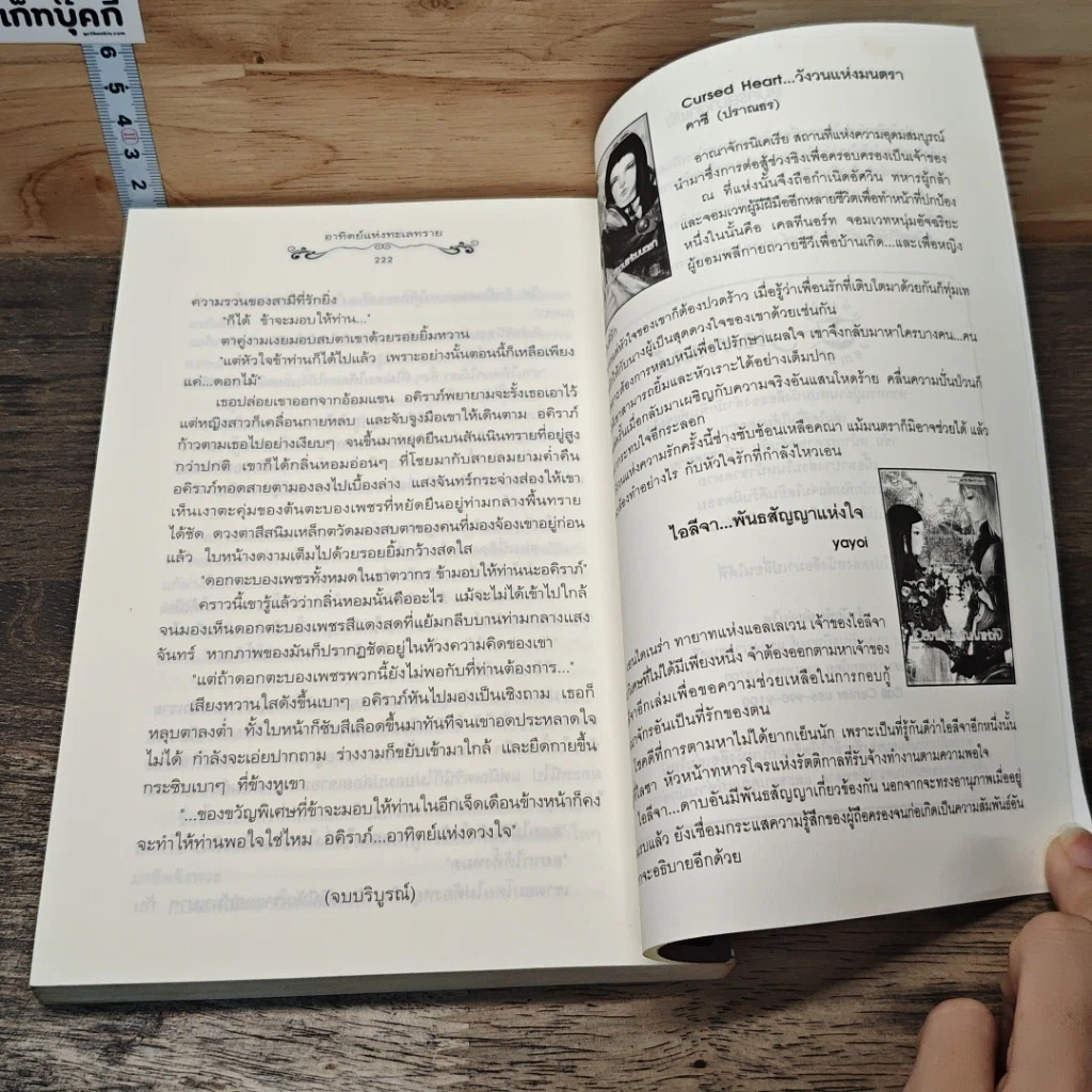 อาทิตย์แห่งทะเลทราย รูปที่ 8