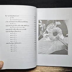 มหัศจรรย์สมุนไพรไทย รูปที่ 13
