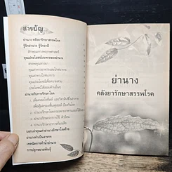 หมื่นปีไม่มีแก่ ย่านาง คลังยักษ์รักษาสรรพโรค รูปที่ 7
