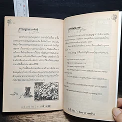 หมื่นปีไม่มีแก่ ย่านาง คลังยักษ์รักษาสรรพโรค รูปที่ 9