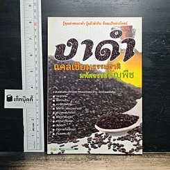 งาดำ แคลเซียมธรรมชาติ มหัศจรรย์ธัญพืช