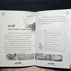 งาดำ แคลเซียมธรรมชาติ มหัศจรรย์ธัญพืช รูปที่ 9