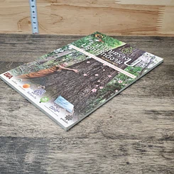 หนังสือ ทำบุญสร้างป่า ปลูกโลกดีงาม รูปที่ 3