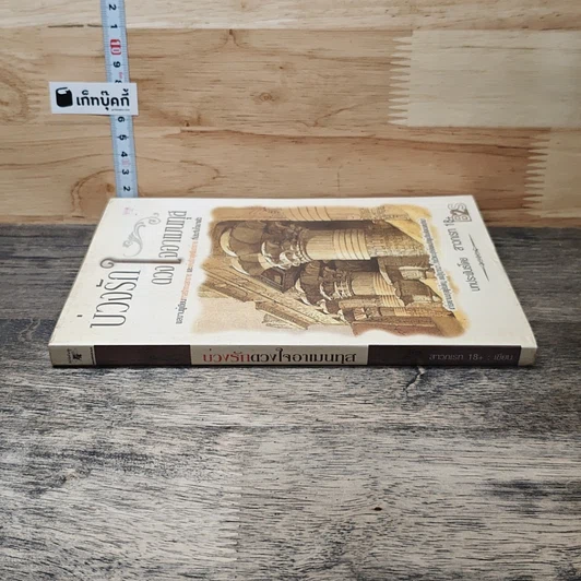 หนังสือ บ่วงรักดวงใจอาเมนทุส รูปที่ 2