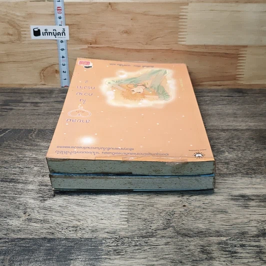 หนังสือ สายลมหัวใจในความทรงจำ 2 เล่มจบ รูปที่ 5