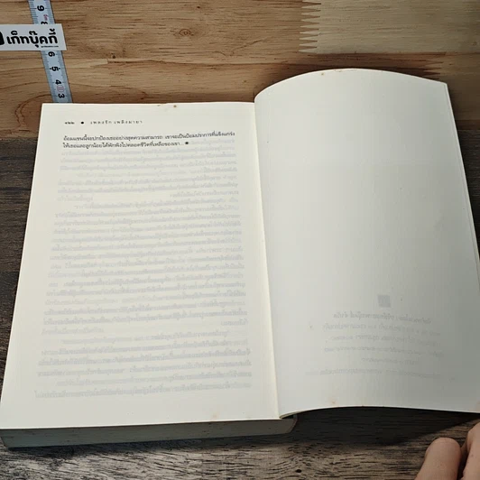 หนังสือ เพลงรักเพลิงมายา รูปที่ 8