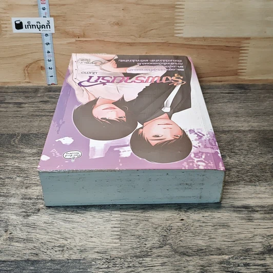 หนังสือ รุ้งพรายรัก รูปที่ 4