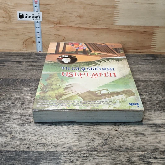 หนังสือ นางฟ้าล่ารัก เทพบุตรซาตาน รูปที่ 4