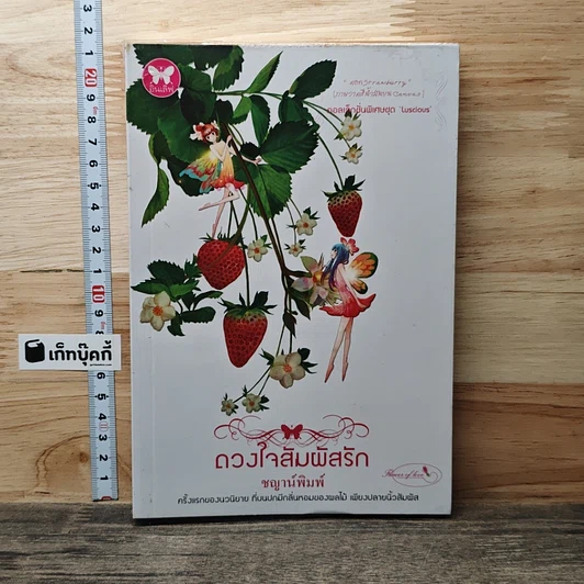 ดวงใจสัมผัสรัก รูปที่ 1