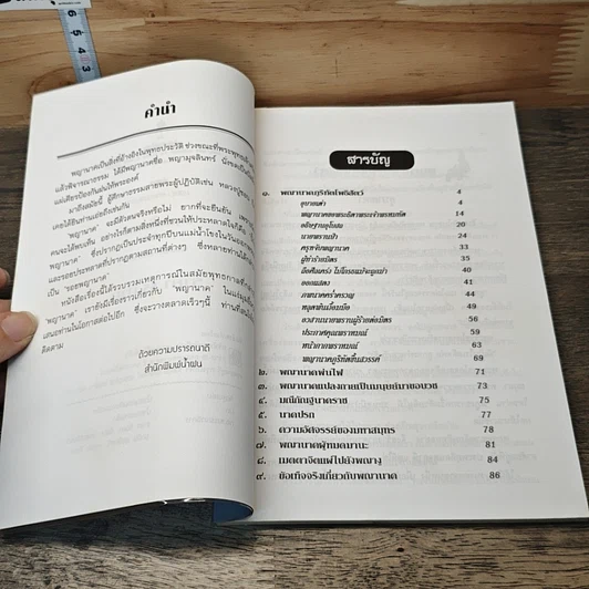 หนังสือ พญานาคใต้บาดาล รูปที่ 7