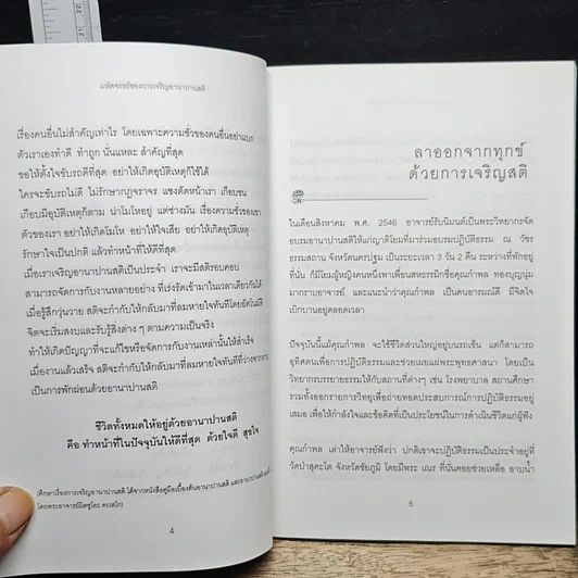 สติเป็นธรรมเอก รูปที่ 8