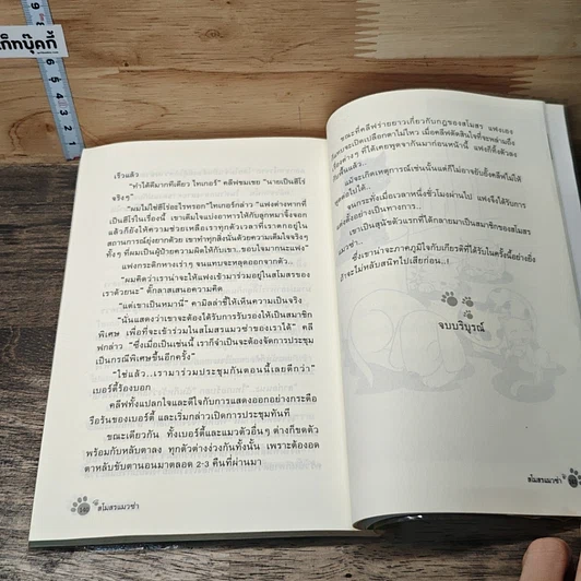 หนังสือ สโมสรแมวซ่า รูปที่ 8