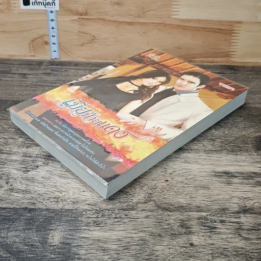 หนังสือ เมียป้ายแดง รูปที่ 3