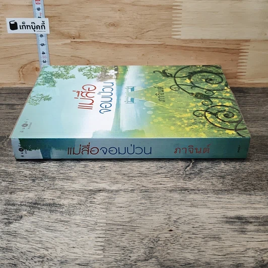 หนังสือ แม่สื่อจอมป่วน รูปที่ 2