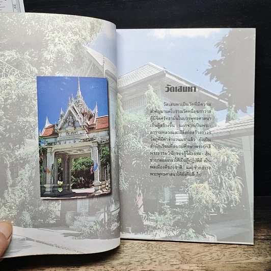 นครปฐม ศรีทวารวดี รูปที่ 8