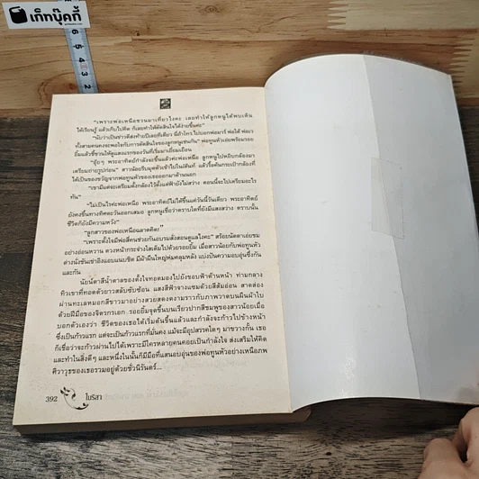 หนังสือ ดอกไม้ในมือมาร ตอน มารร้ายร่ายรัก รูปที่ 8