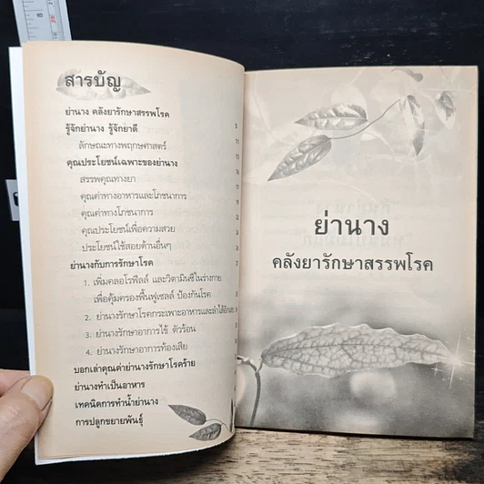 หมื่นปีไม่มีแก่ ย่านาง คลังยักษ์รักษาสรรพโรค รูปที่ 7