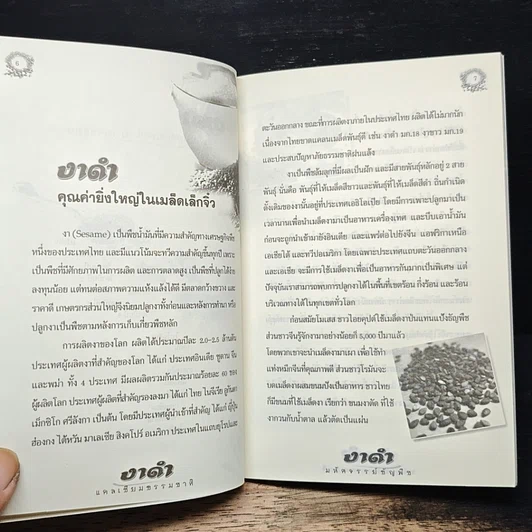 งาดำ แคลเซียมธรรมชาติ มหัศจรรย์ธัญพืช รูปที่ 8