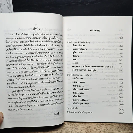 สู่แดนพุทธภูมิ รูปที่ 7