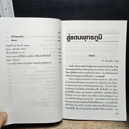 สู่แดนพุทธภูมิ รูปที่ 10