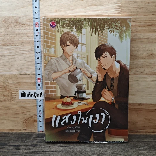 แสงในเงา รูปที่ 1