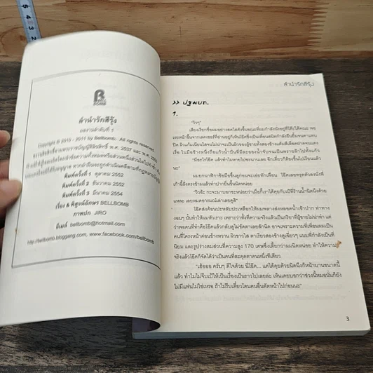 หนังสือ ลำนำรักสีรุ้ง รูปที่ 6