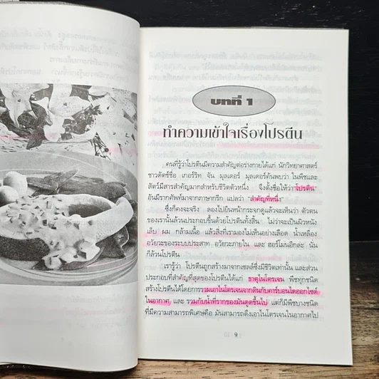 กินเนื้อ กินผัก กินอย่างไรได้ประโยชน์โปรตีนสูงสุด รูปที่ 7