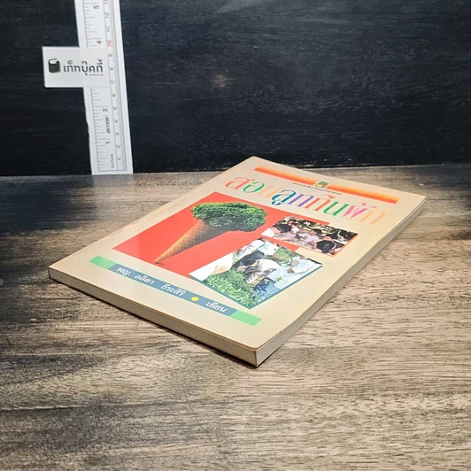 หนังสือ สอนลูกกินผัก รูปที่ 4