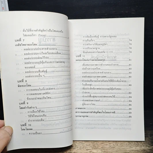 ความลับของโสม จากสูตรยาตุ๋นถึงงานวิจัย รูปที่ 7