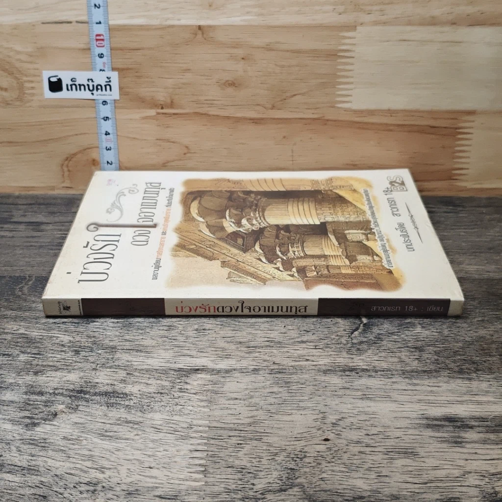 หนังสือ บ่วงรักดวงใจอาเมนทุส รูปที่ 2