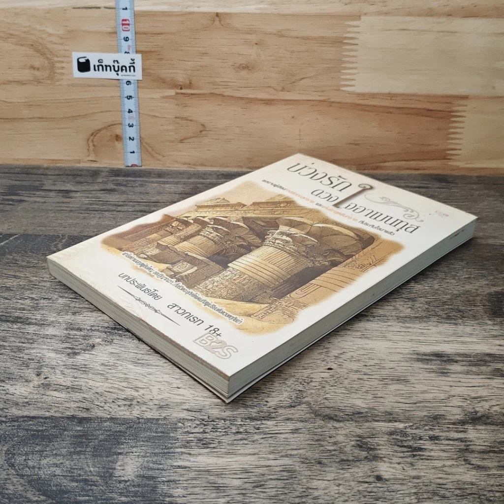 หนังสือ บ่วงรักดวงใจอาเมนทุส รูปที่ 3