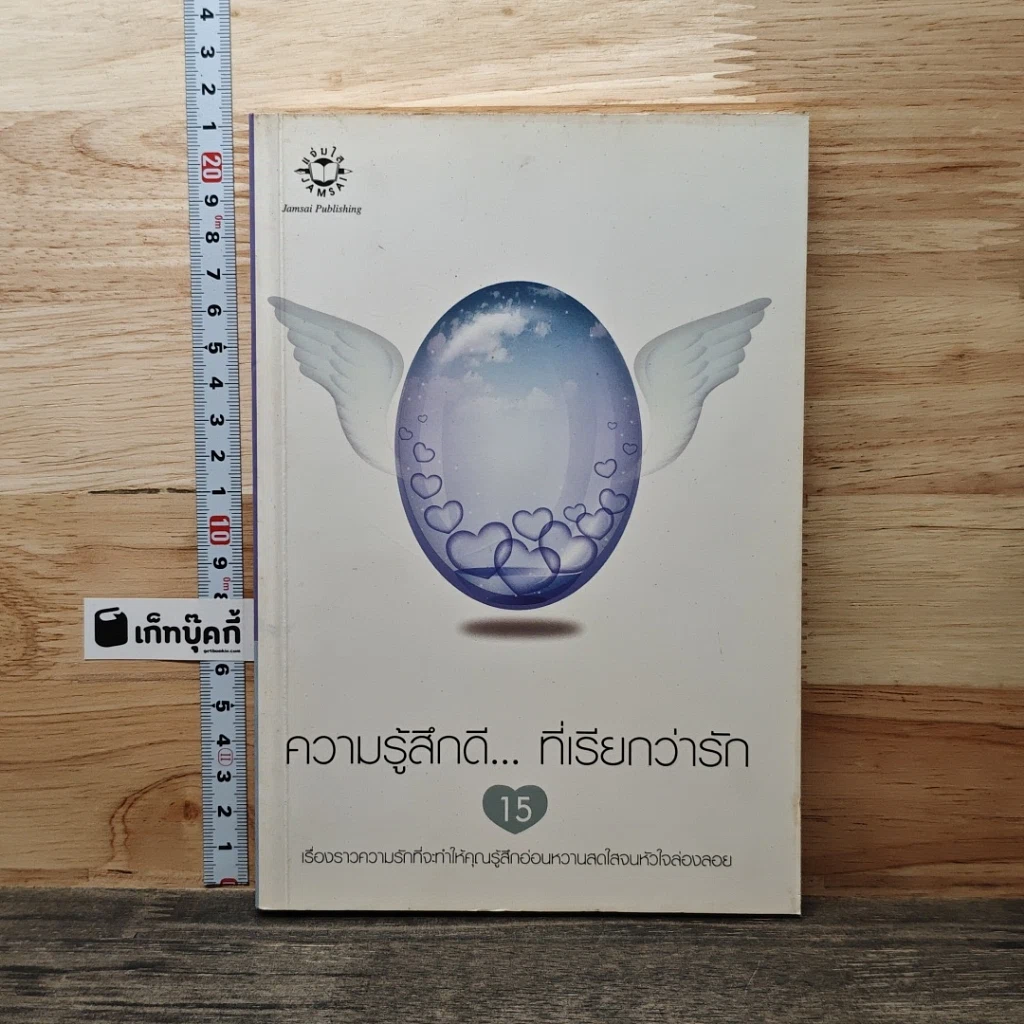 ความรู้สึกดี... ที่เรียกว่ารัก 15 รูปที่ 1