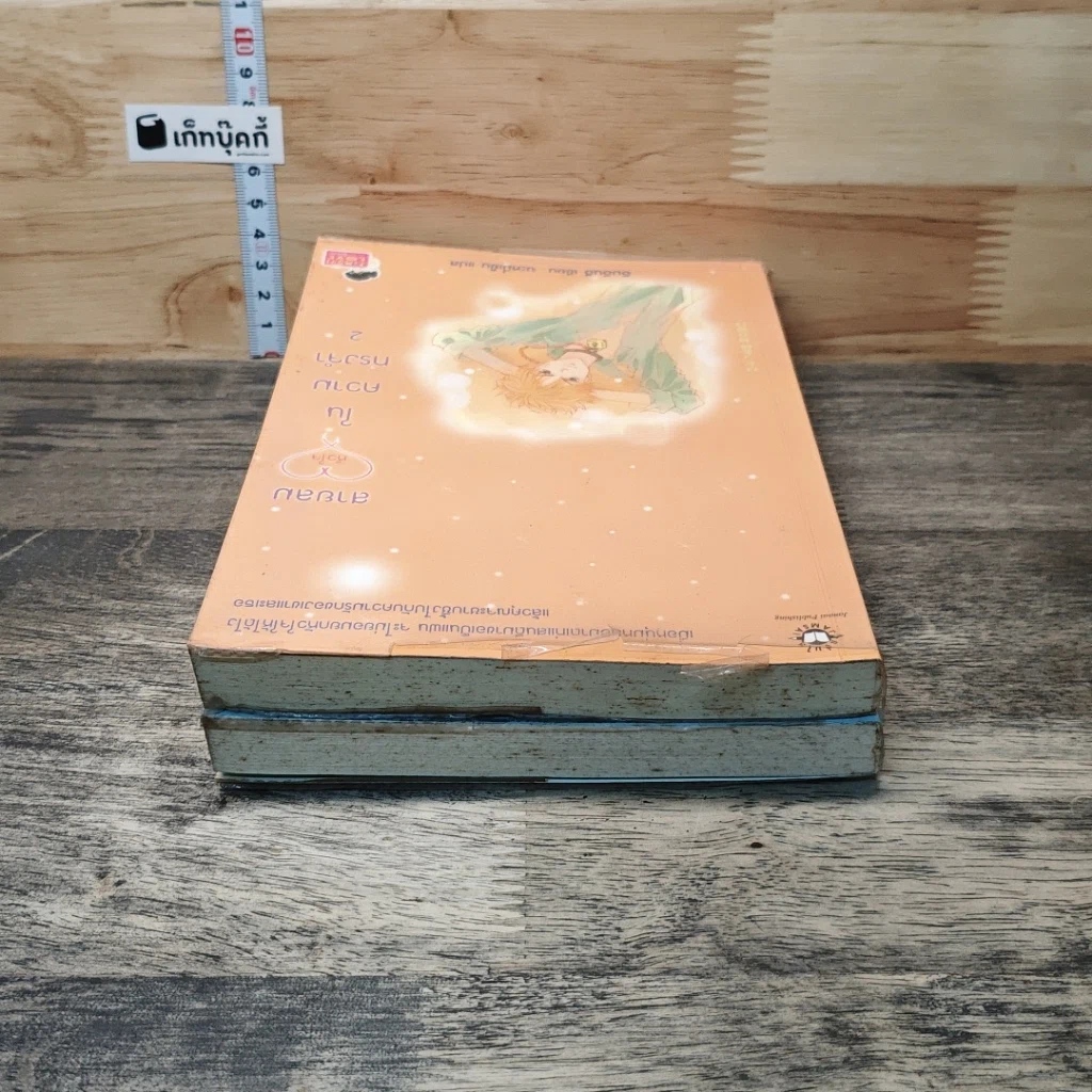 หนังสือ สายลมหัวใจในความทรงจำ 2 เล่มจบ รูปที่ 5