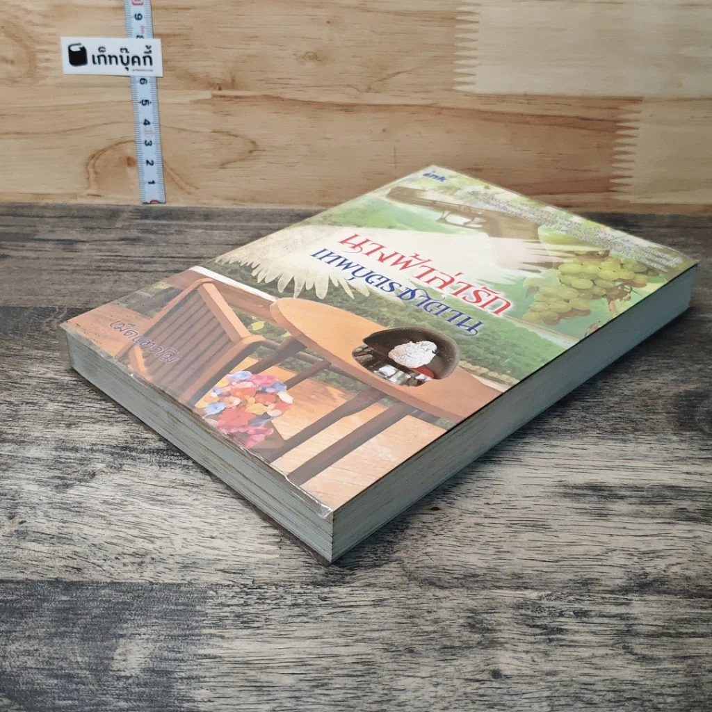 หนังสือ นางฟ้าล่ารัก เทพบุตรซาตาน รูปที่ 3