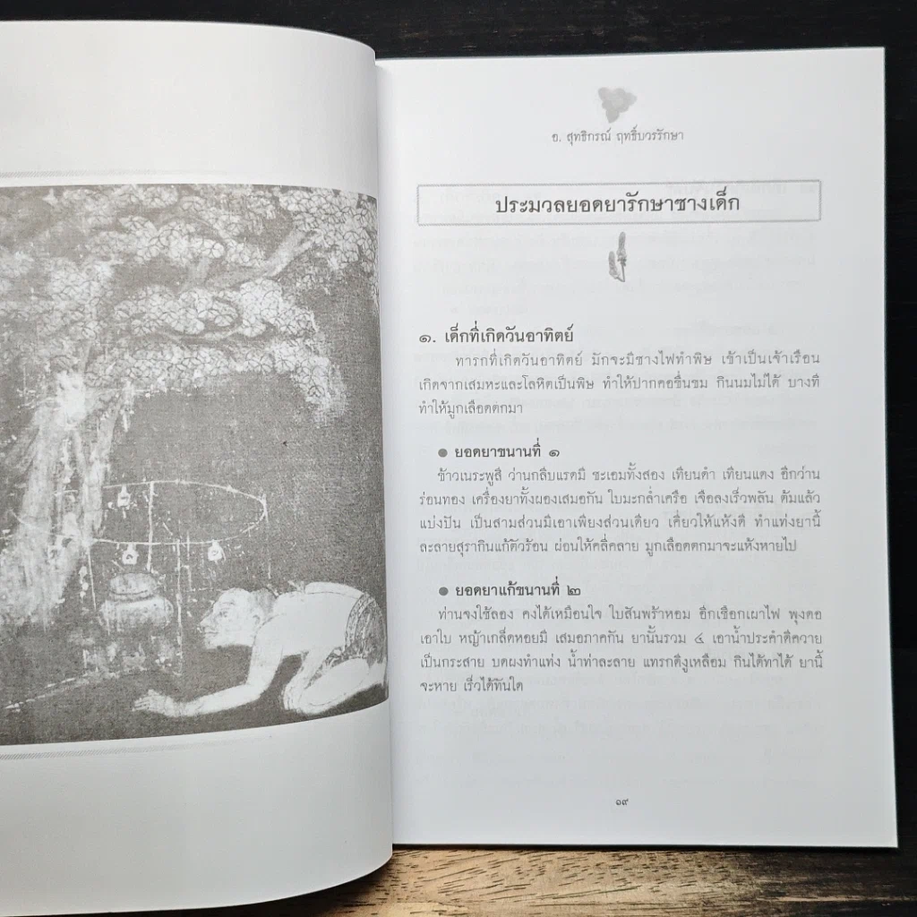 มหัศจรรย์สมุนไพรไทย รูปที่ 14