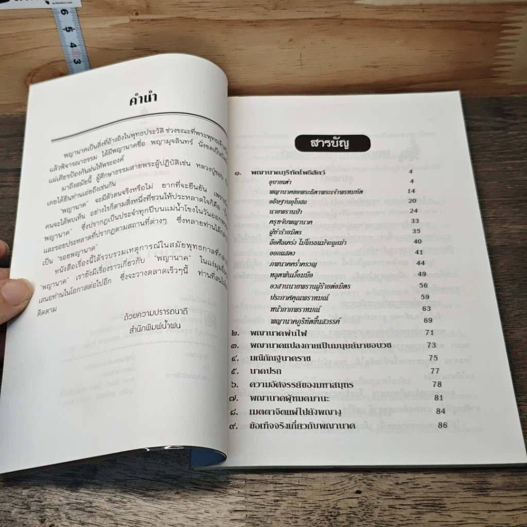 หนังสือ พญานาคใต้บาดาล รูปที่ 7