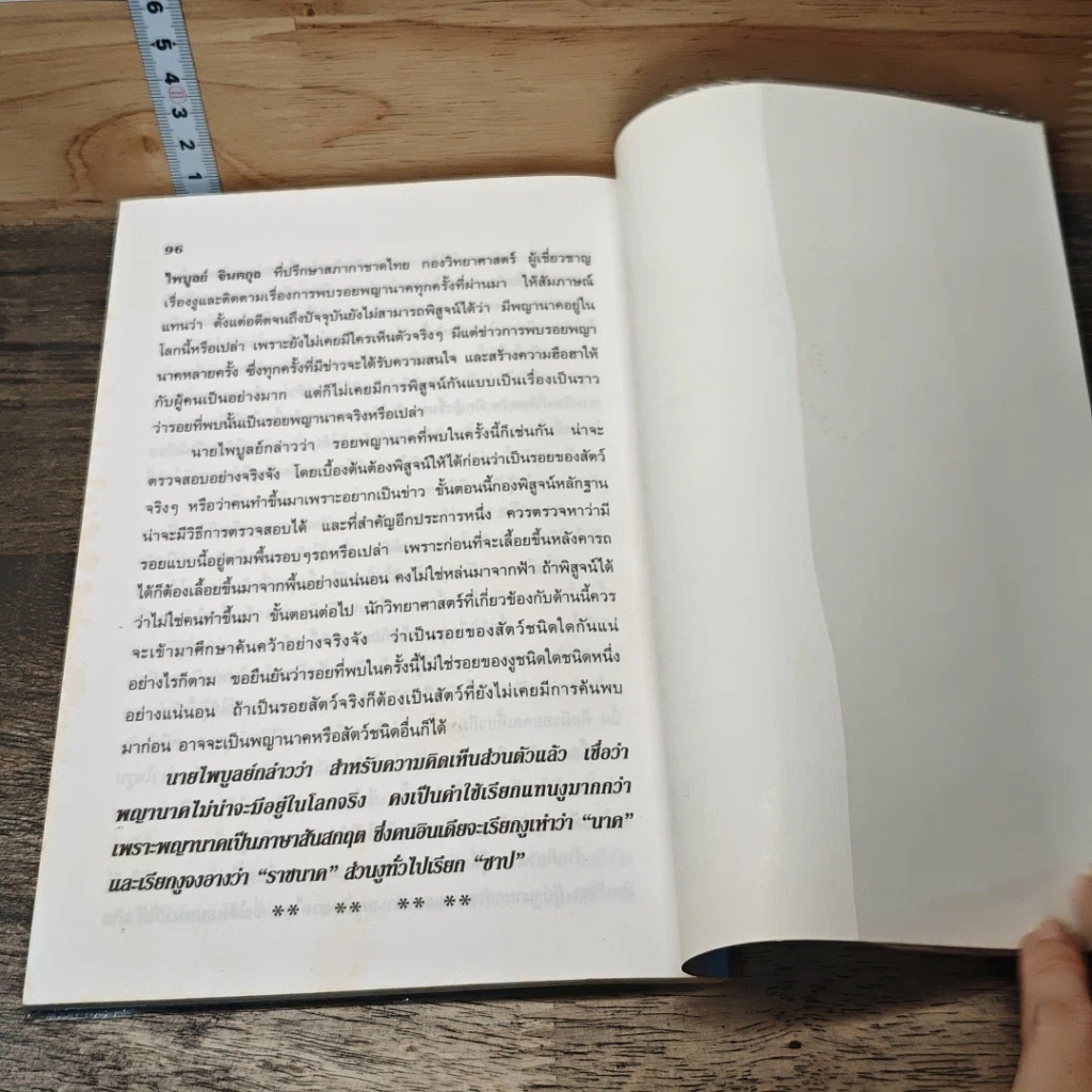 หนังสือ พญานาคใต้บาดาล รูปที่ 9