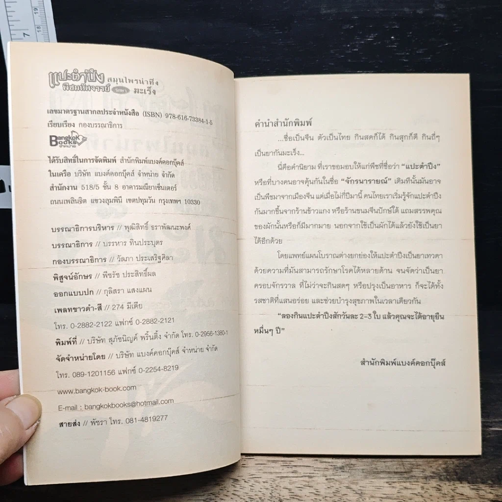 แปะตำปึง สมุนไพรน่าทึ่ง พืชมหัศจรรย์ รักษามะเร็ง รูปที่ 6