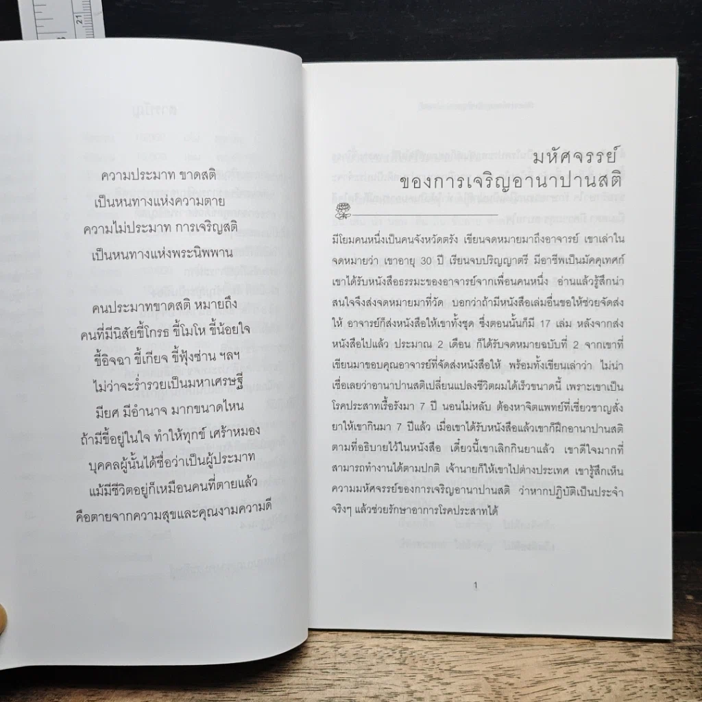 สติเป็นธรรมเอก รูปที่ 7