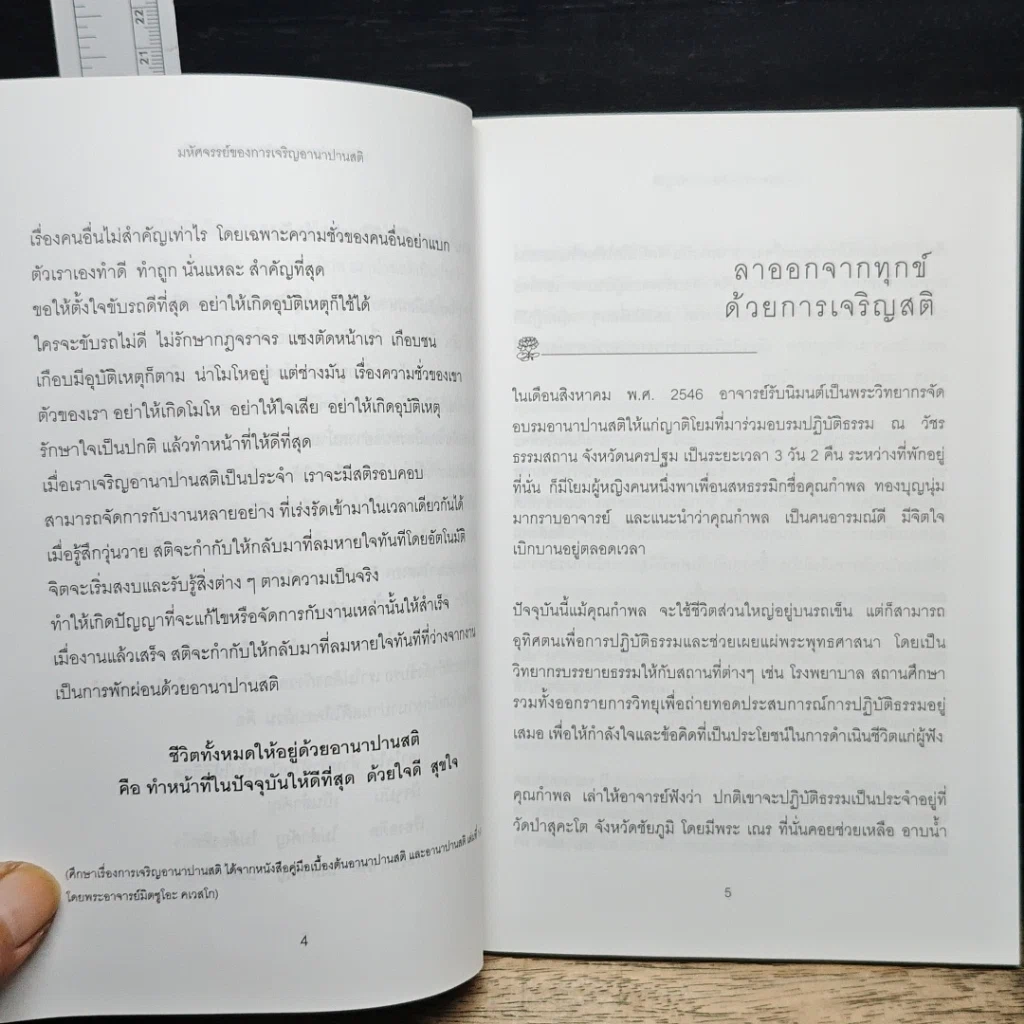 สติเป็นธรรมเอก รูปที่ 8